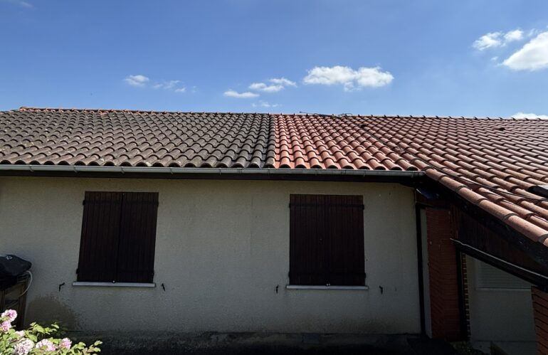 NETTOYAGE TOITURE EN TERRE CUITE